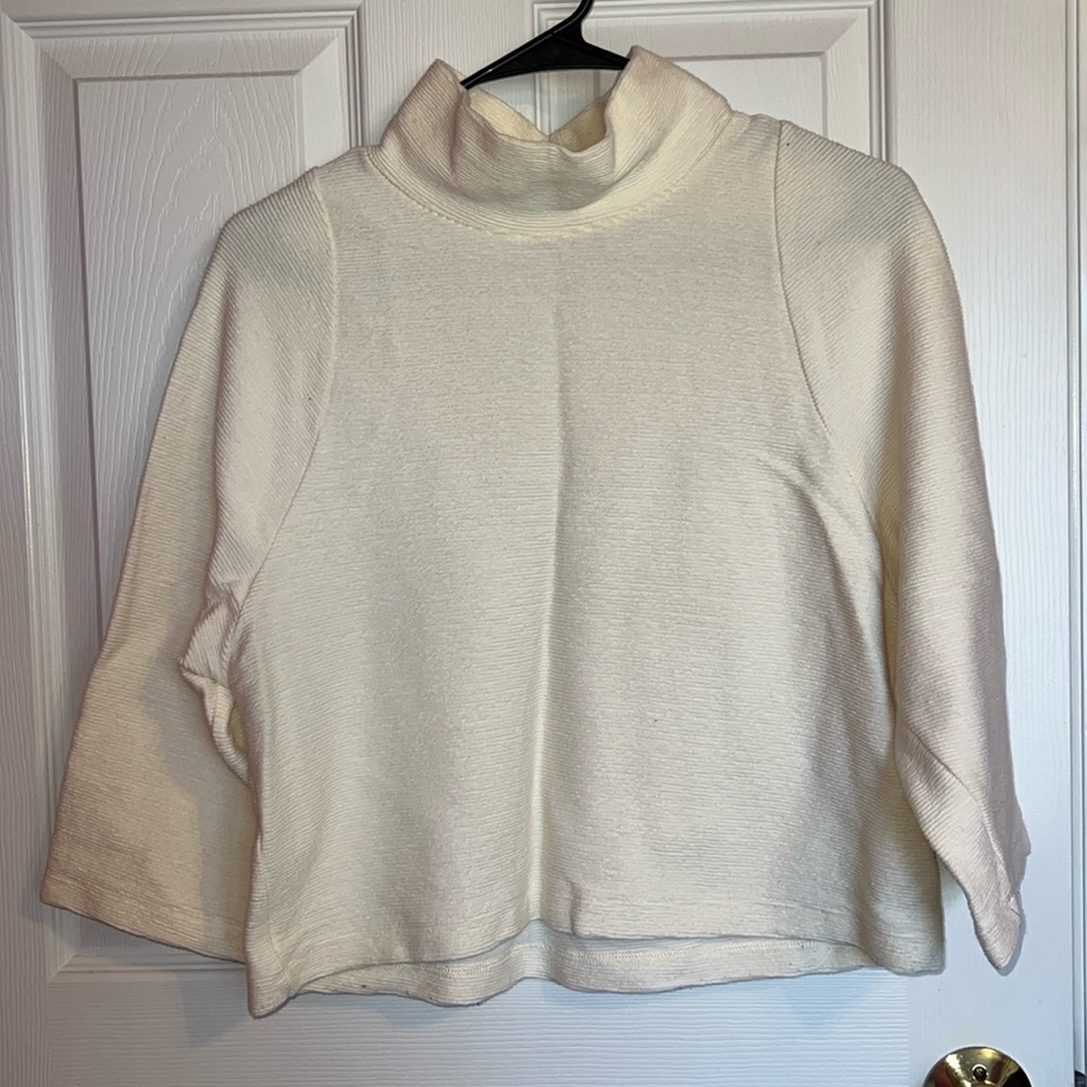 Madewell Cream Turtleneck Sweater